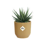 vibes fold round mini 9cm butter yellow